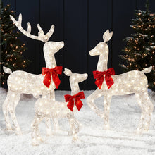 Load image into Gallery viewer, Best Choice Products 4ft 3-Piece Lighted 2D Christmas Deer Set Outdoor Yard Decoration w/ 175 LED Lights, Stakes - White